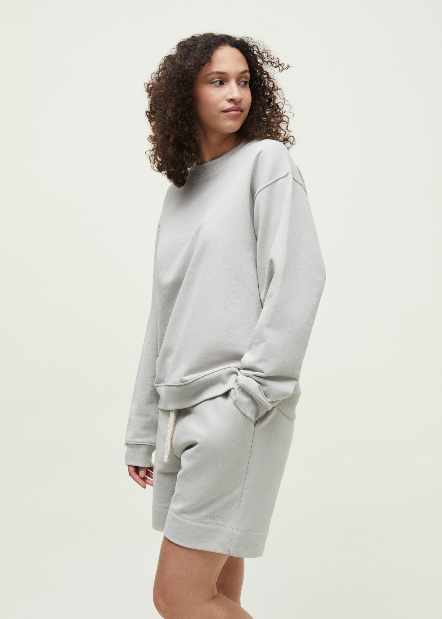 Aiayu circular sweatshirt | Grey Sweatshirt aiayu