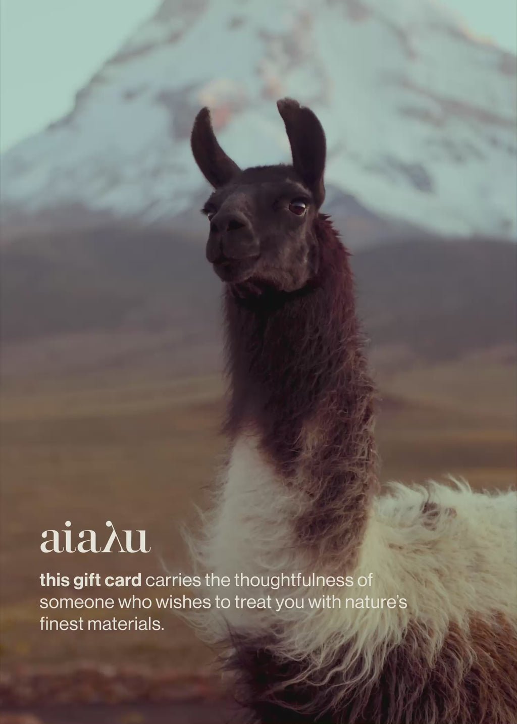 aiayu gift card